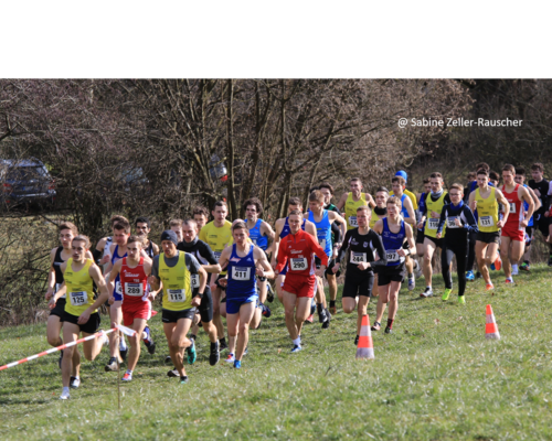 Baden-Württembergische Meisterschaften Crosslauf 2019 in Stockach 