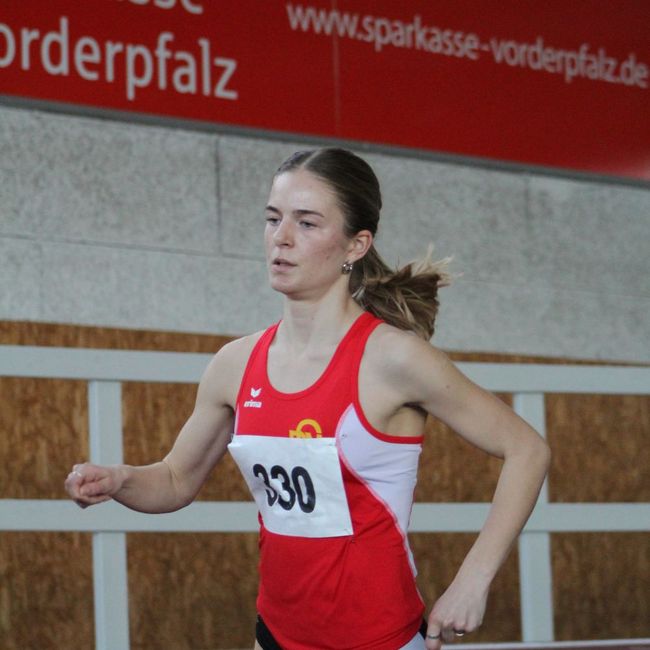 Bildergalerie